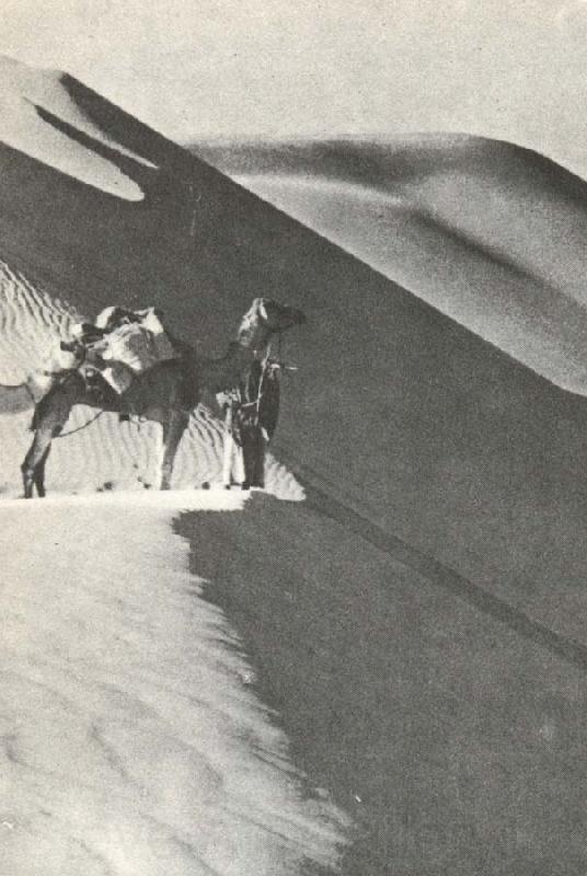 william r clark wilfred thesigers expedition rastar pa toppen av en sanddyn under ritten genom det tomma landet Norge oil painting art